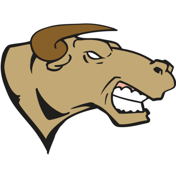 AR BULL 30 RC Thumbnail