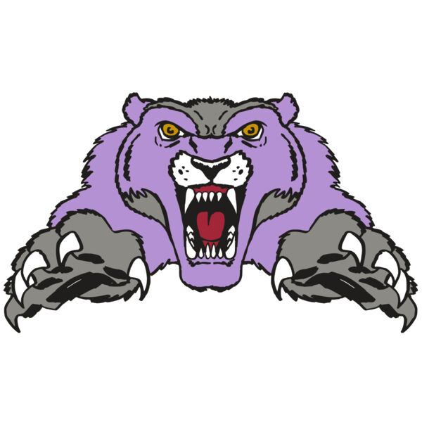 AR WOLVERINE 17 RC Thumbnail