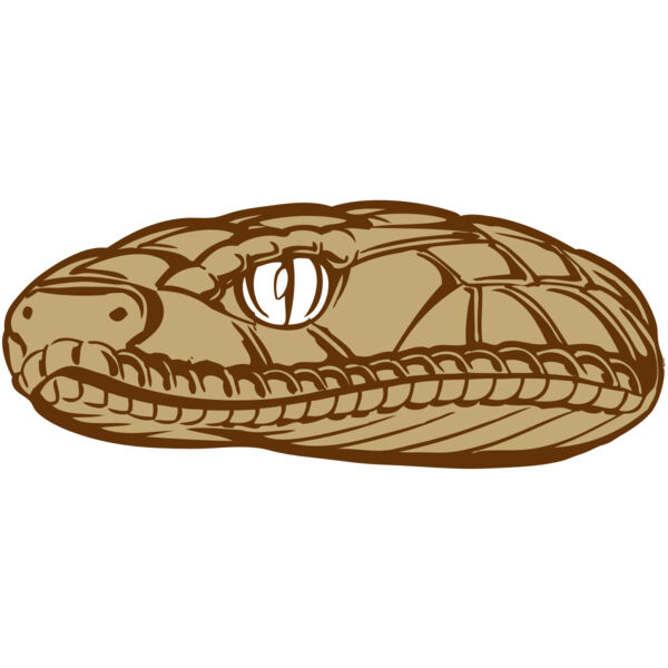 BAW SNAKE 12 RC Thumbnail