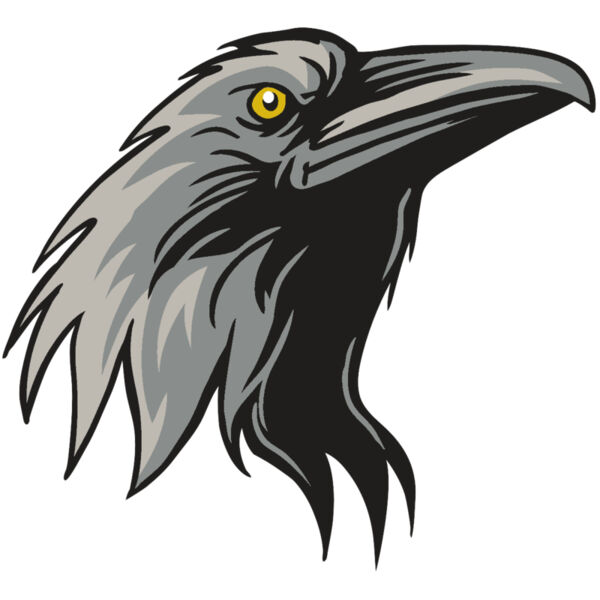 AR31 RAVEN 01 RQC Thumbnail