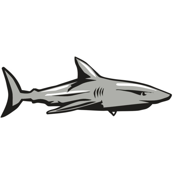 AR9 SHARK 01 RQC Thumbnail