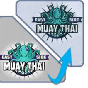 Design Services - Portals Thumbnail