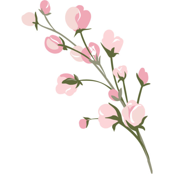 Pink Roses Flower 14 Thumbnail