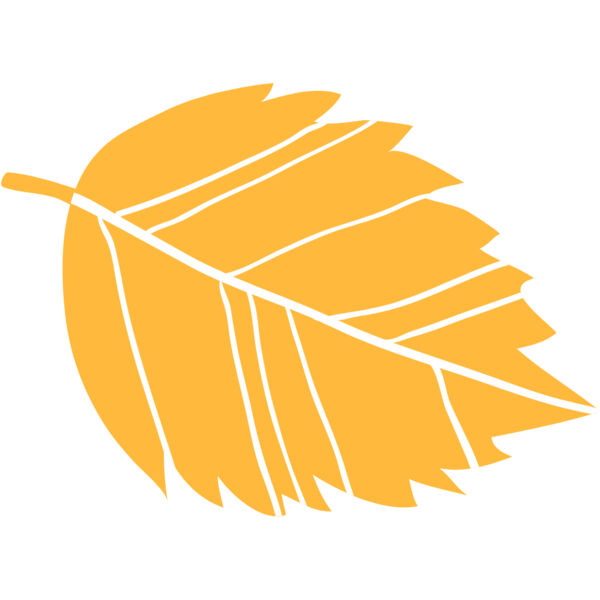 Autumn Fall Leaf 20 Thumbnail