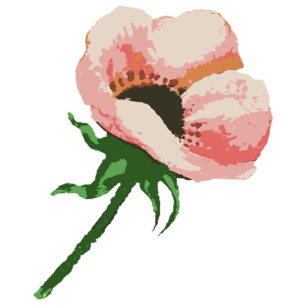 Watercolor Flower 1 Thumbnail